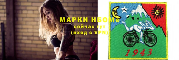 стафф Алексин