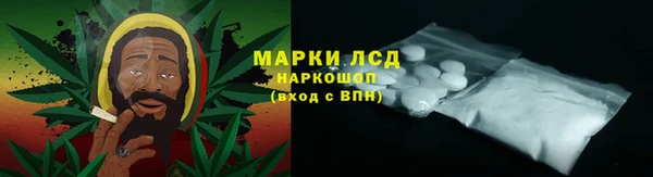 стафф Алексин
