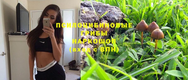 бутират Алзамай