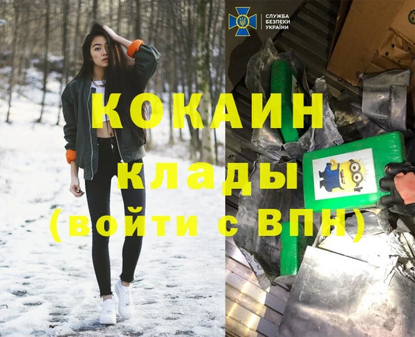 стафф Алексин